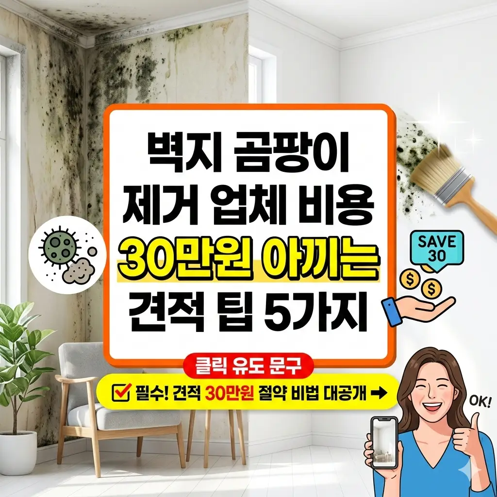 벽지 곰팡이 제거 업체 비용을 30만원 절감할 수 있는 견적 팁 5가지를 소개하는 생활 정보 썸네일 이미지