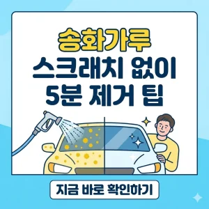 자동차 도장면 스크래치 없이 송화가루를 5분 만에 안전하고 빠르게 제거하는 세차 팁을 설명하는 썸네일 이미지.