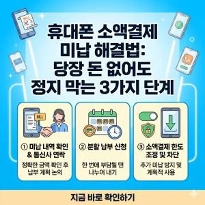 스마트폰 화면에 소액결제 미납 해결 3단계(확인, 분납, 지원요청)를 직관적으로 보여주는 1:1 비율의 포스터 이미지.