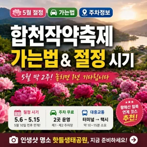 분홍 작약이 만개한 합천 핫들생태공원과 축제 방문 정보를 담은 썸네일 이미지.