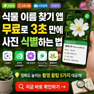 스마트폰 카메라로 꽃을 비추며 3초 만에 식물 이름을 찾는 앱 썸네일.