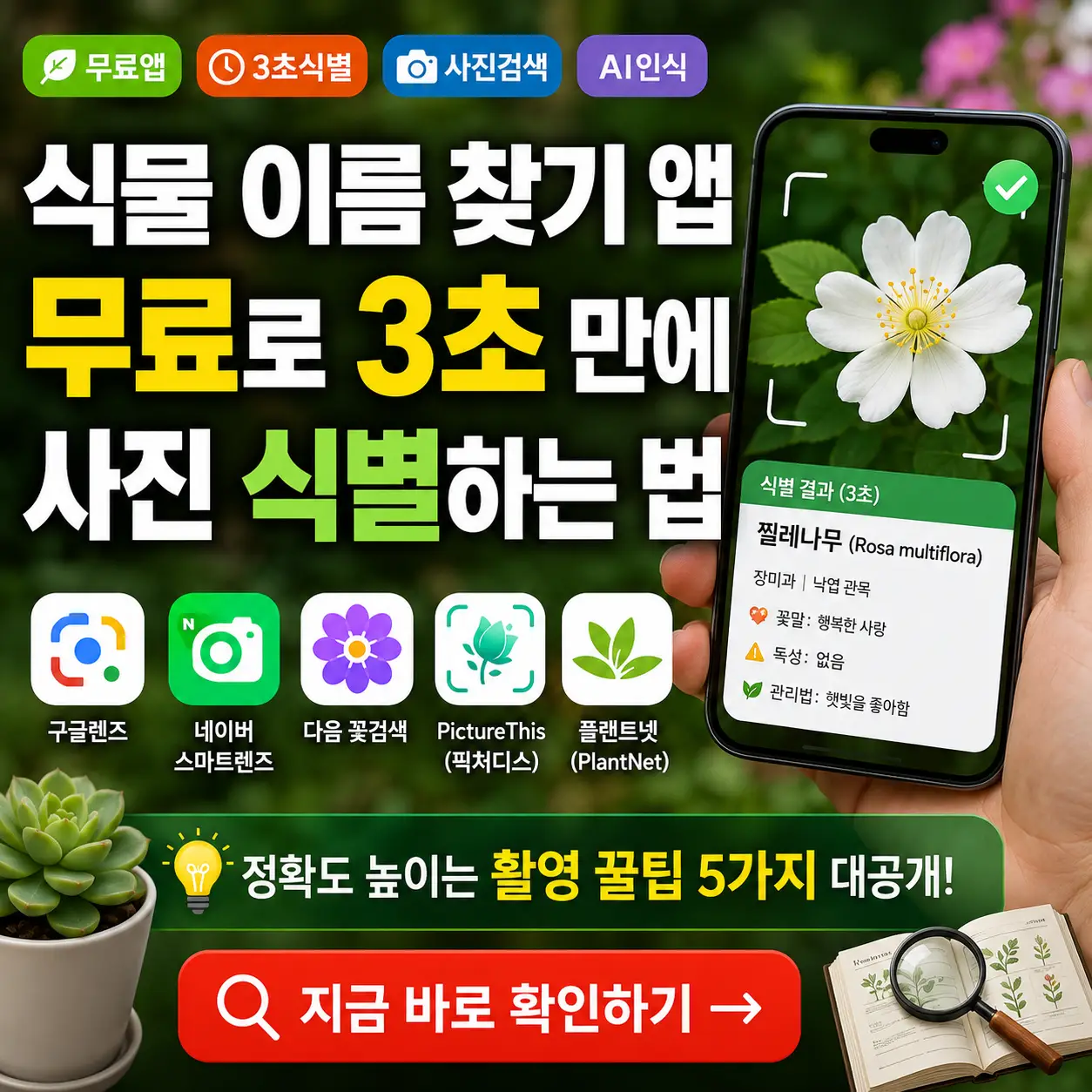 스마트폰 카메라로 꽃을 비추며 3초 만에 식물 이름을 찾는 앱 썸네일.
