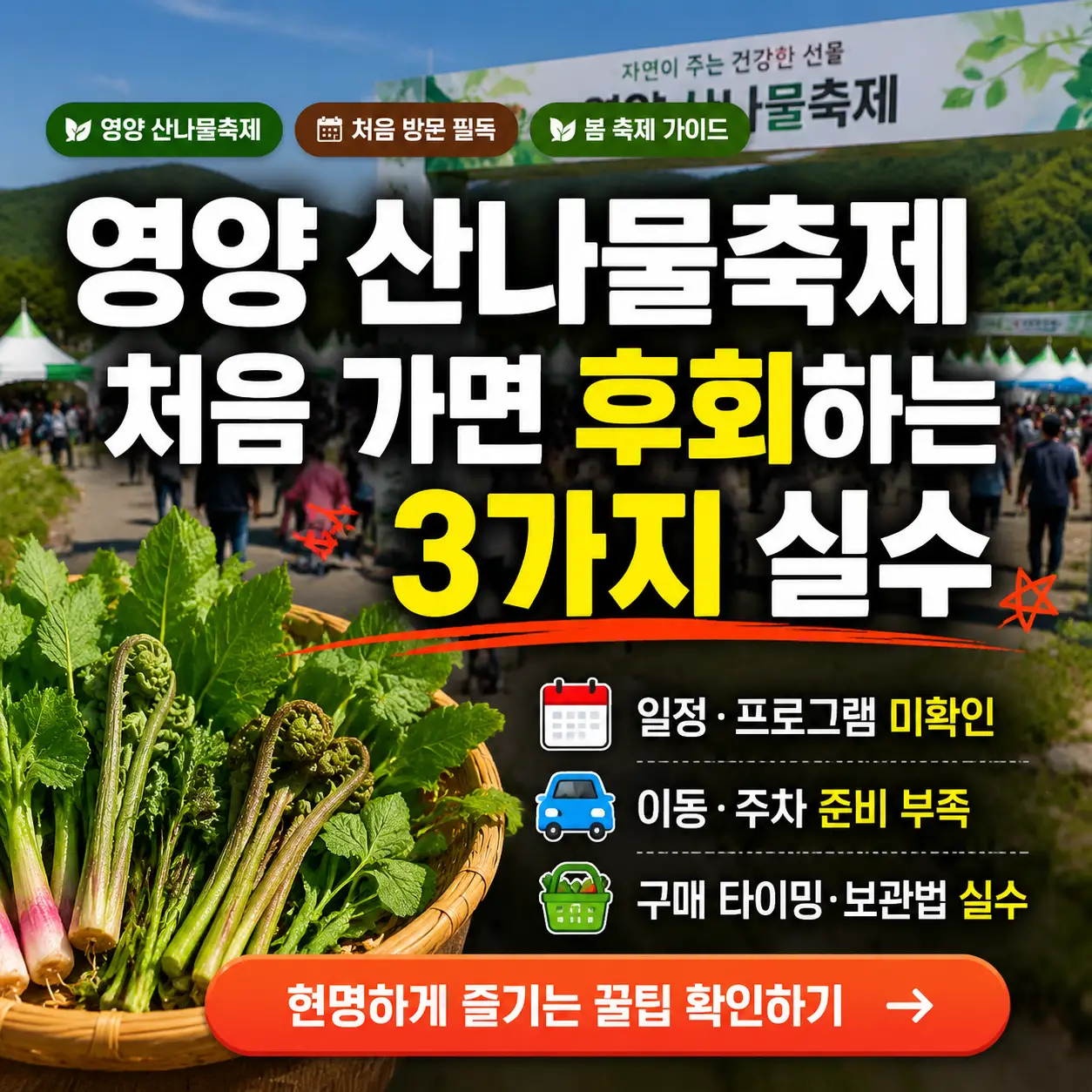 경북 영양 산나물축제 현장에서 방문객들이 신선한 산나물을 채취하고 즐기는 모습