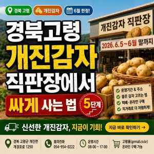 경북 고령 개진감자 직판장에서 노지감자를 저렴하게 사는 5단계 안내 썸네일.