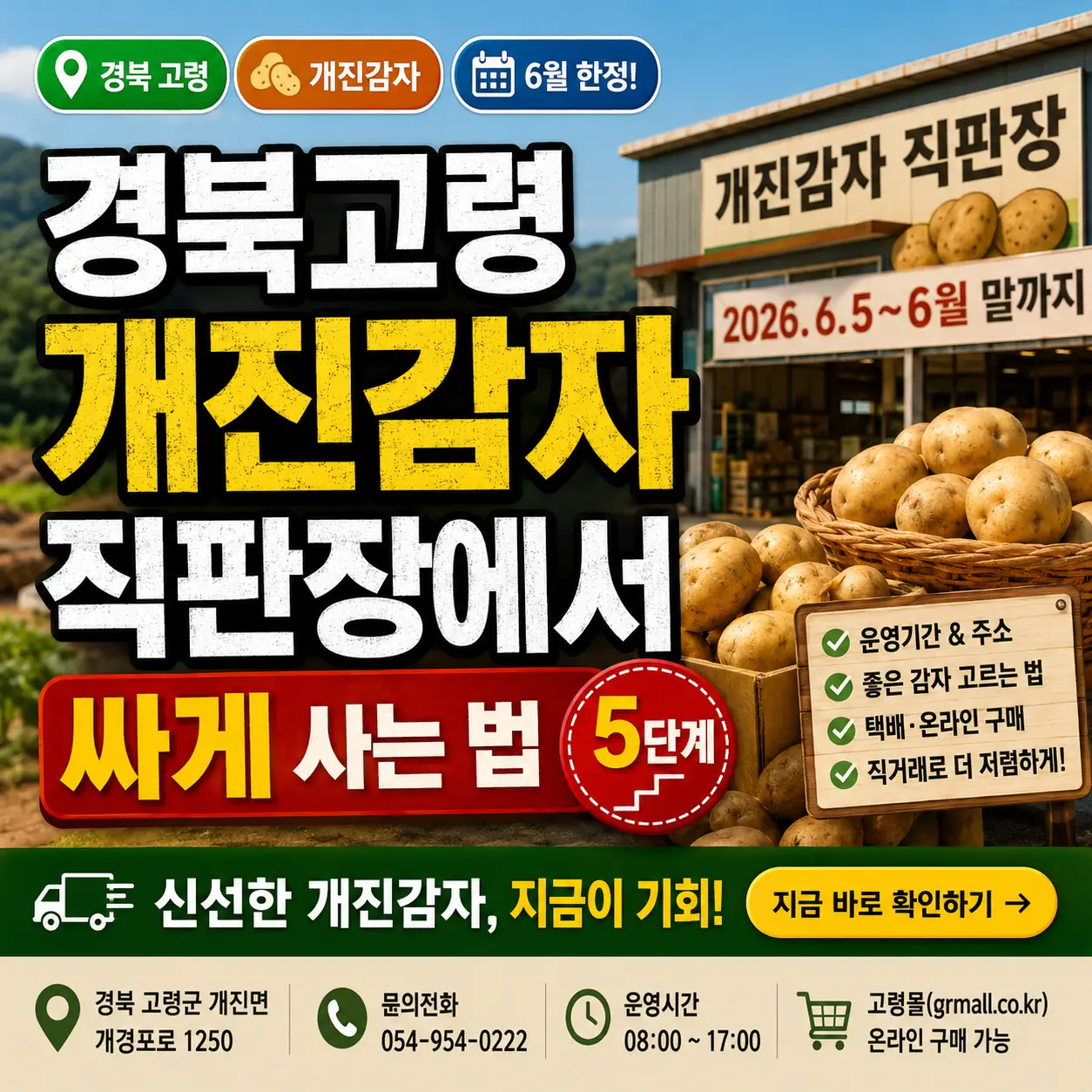 경북 고령 개진감자 직판장에서 노지감자를 저렴하게 사는 5단계 안내 썸네일.