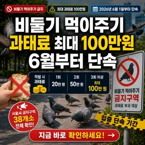 서울 공원에서 비둘기 먹이주기 금지와 최대 100만원 과태료 단속을 알리는 썸네일.
